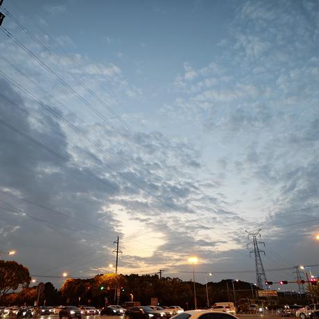 佳佳_于2023-05-23 19:08发布的图片