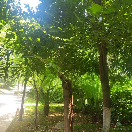 编程杂货铺于2021-06-07 13:23发布的图片