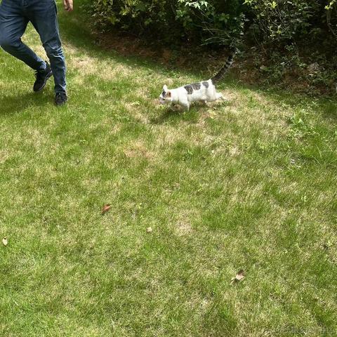 潜水摸鱼于2023-09-02 11:51发布的图片