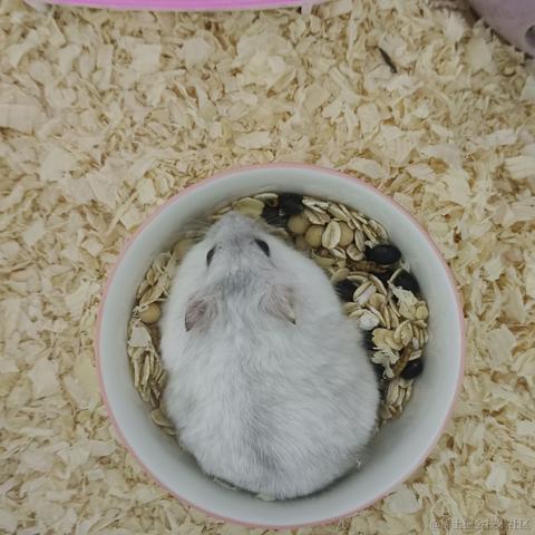 敲敲敲敲暴你脑袋于2023-11-11 13:52发布的图片