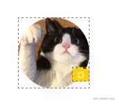 Snip20211008_5.png