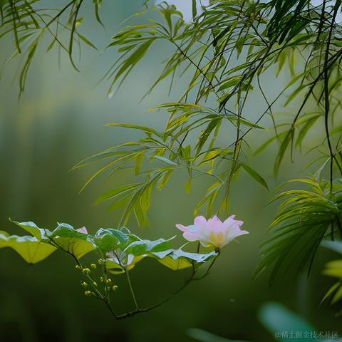 小喵咪爱吃鱼于2023-11-29 09:57发布的图片