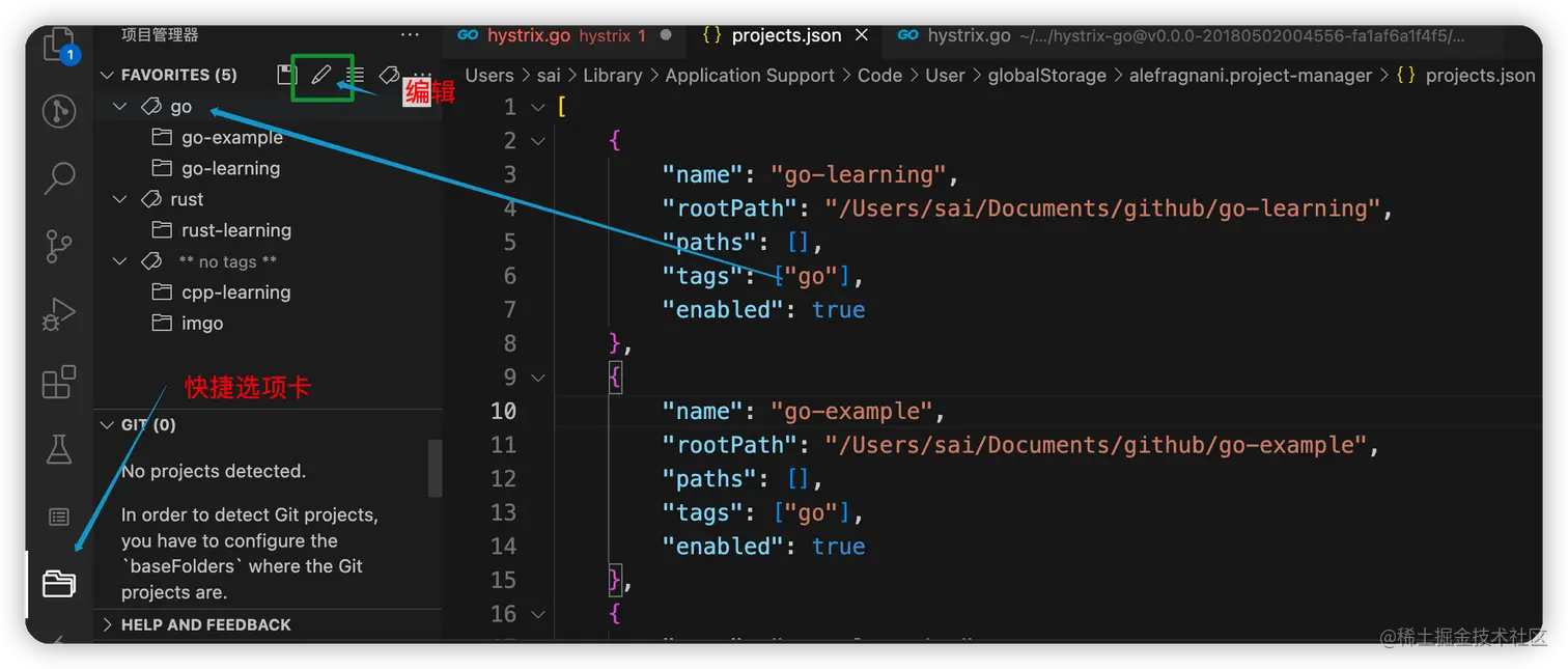 vscode-project-manager-tag.png