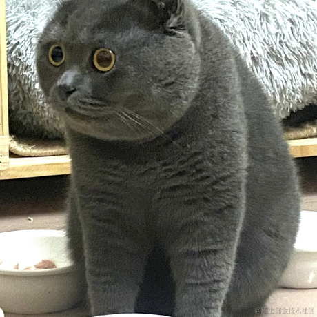 章鱼几个爪于2021-11-21 08:46发布的图片