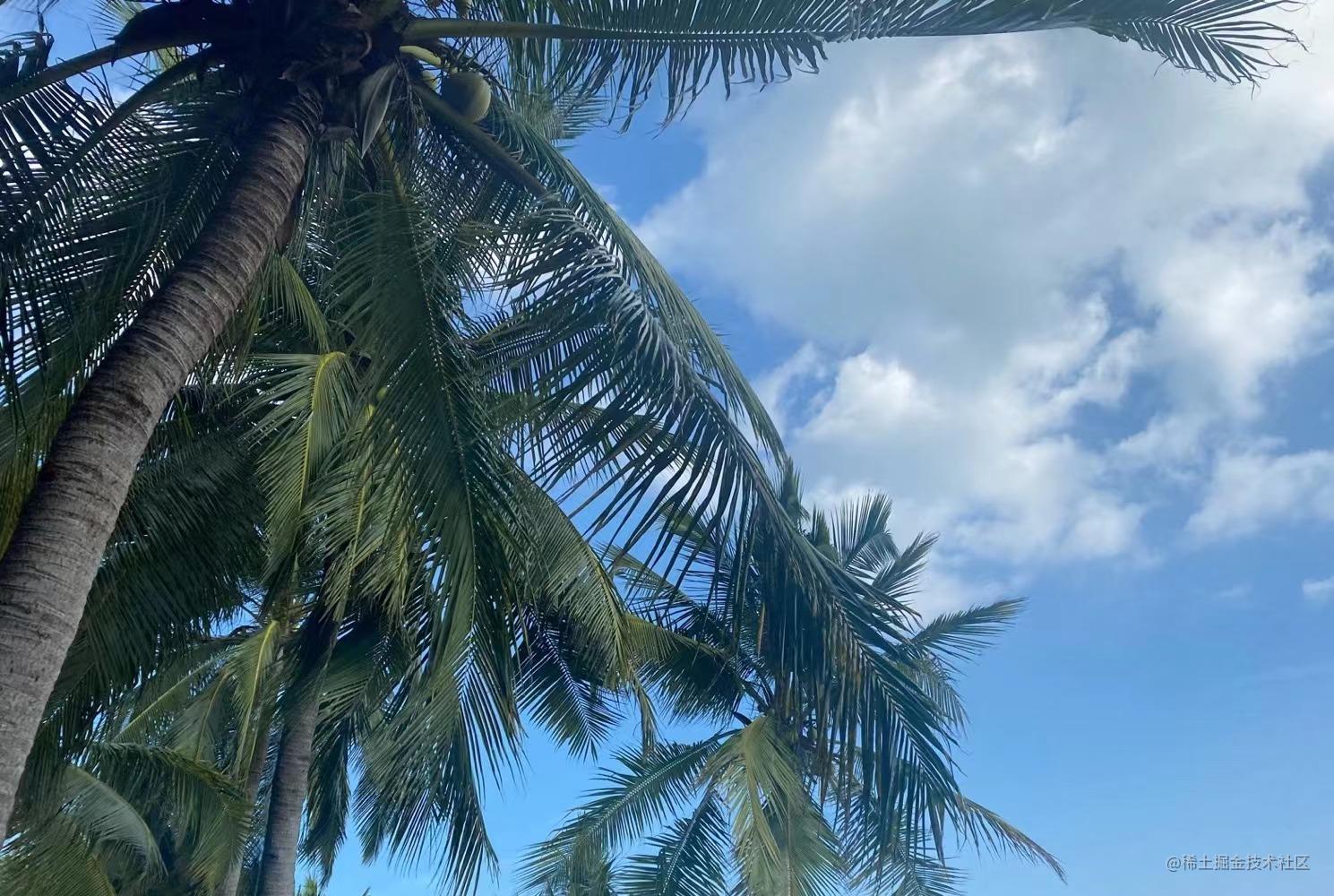 leetcode算法之旅