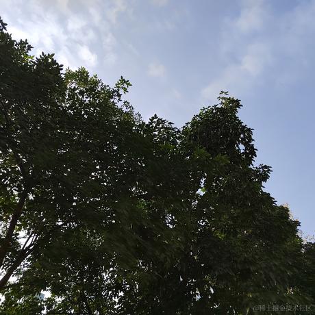 夏韭菜于2022-11-22 09:45发布的图片