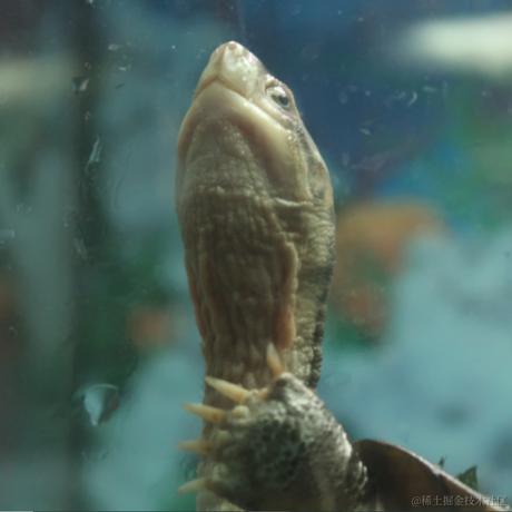 Lundyli于2024-05-23 13:17发布的图片