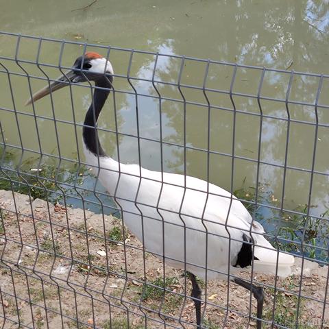 优秀稳妥的金枪小魔王于2022-09-26 09:26发布的图片