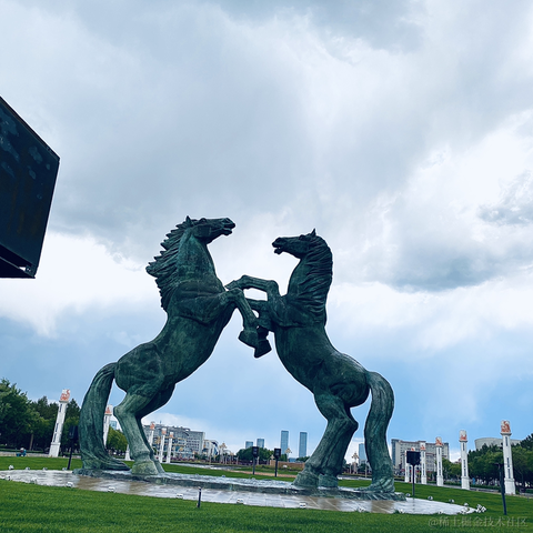 因为当年那只篮球于2021-09-20 17:42发布的图片