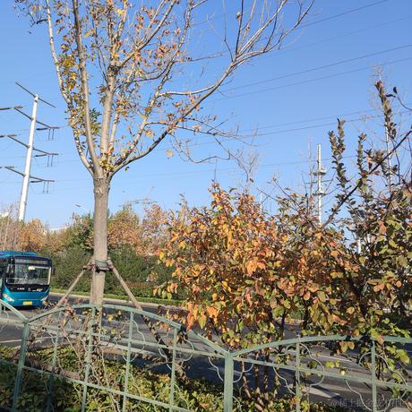 610单推人于2022-11-21 10:20发布的图片