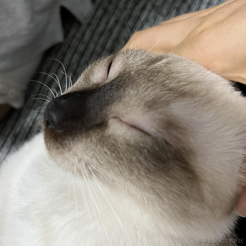 近战仙师于2022-09-20 10:49发布的图片