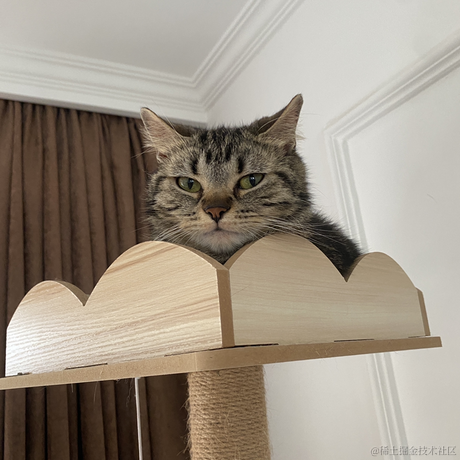 avavaava于2023-06-20 11:54发布的图片