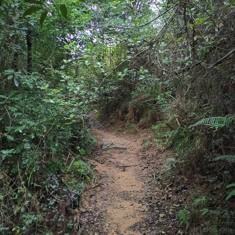 最甜甜甜的小草莓于2022-11-09 04:33发布的图片