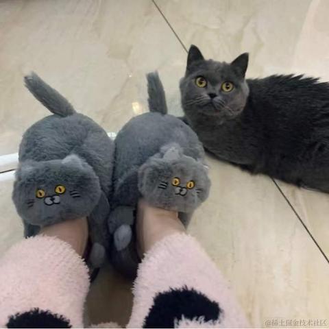BooBoo于2021-12-24 11:14发布的图片