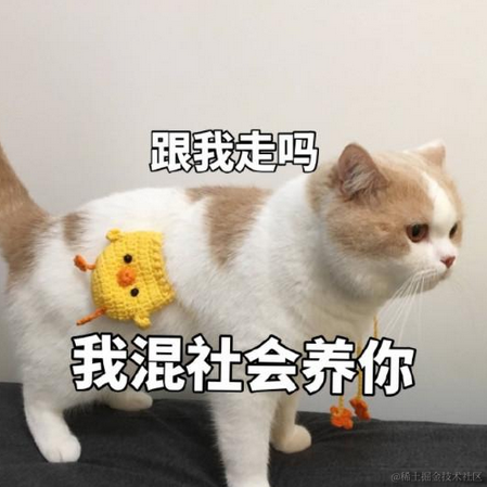 Jerrylim于2021-01-07 17:05发布的图片