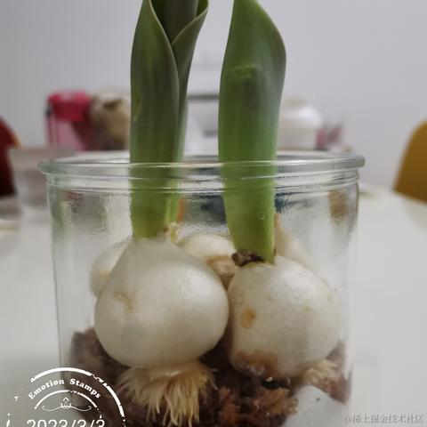 老柴不加班于2023-03-09 13:35发布的图片