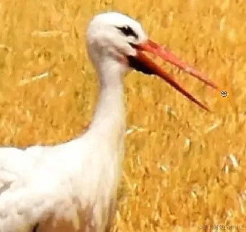 屏幕截图 2024-04-14 110218.png