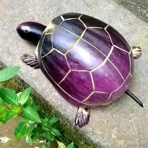 设置成功于2023-08-14 12:31发布的图片