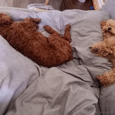 一曲尽喜悲于2020-09-29 14:43发布的图片