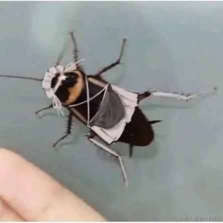 苏西坡于2022-02-18 17:14发布的图片