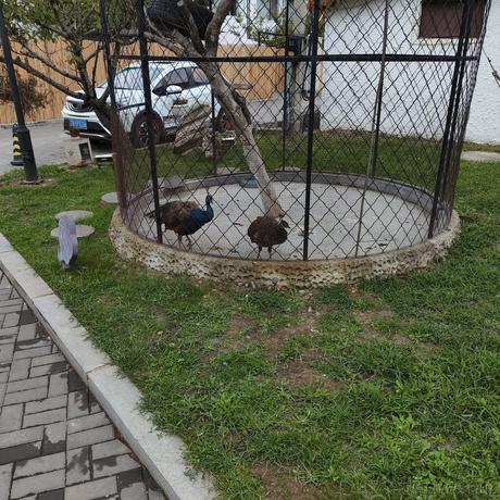 襄垣于2023-09-10 13:34发布的图片