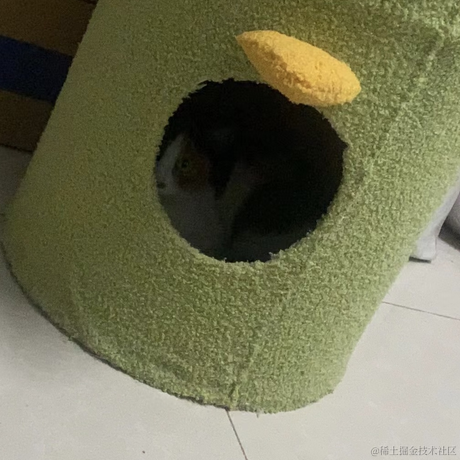 不是厨师于2023-01-04 19:14发布的图片