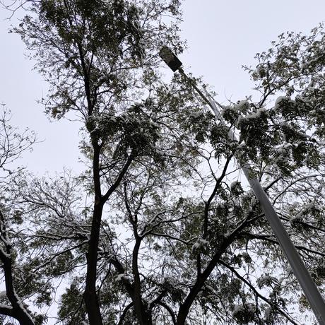 早濑真爱于2022-11-12 14:05发布的图片