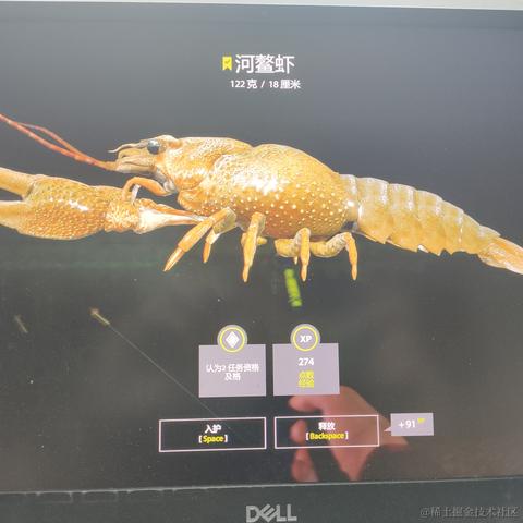 rain2333于2022-11-23 22:14发布的图片