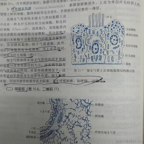 时之瞳于2022-11-17 21:07发布的图片