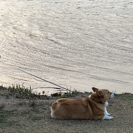 清欢爱蹦跶于2022-04-16 08:06发布的图片