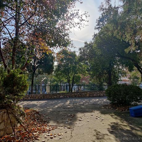 北半球的孤单于2022-12-11 12:01发布的图片