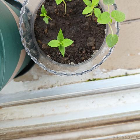 跑来跑去可没有打人爽于2023-09-27 13:27发布的图片