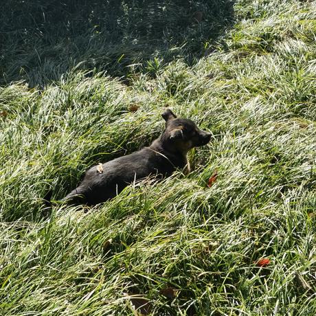 聪明勇敢贝极星于2022-12-01 00:37发布的图片