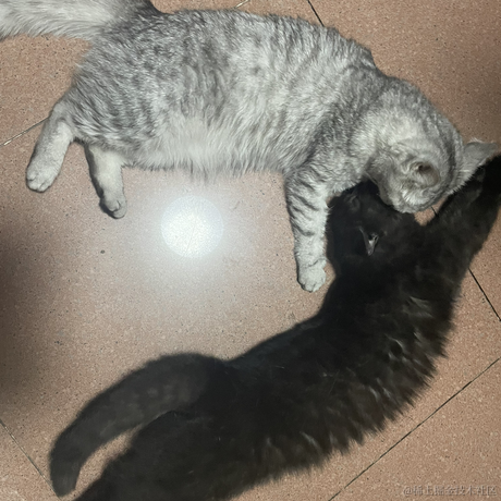 heronCCC于2023-06-01 08:49发布的图片