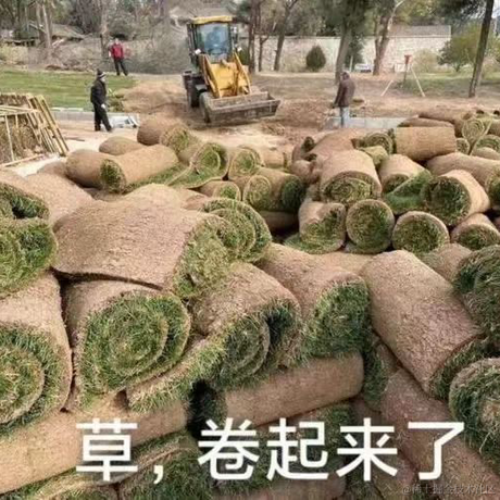 山河丶于2021-12-17 16:19发布的图片