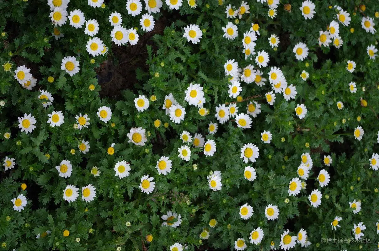 用选择相似 来调色 (2).jpg