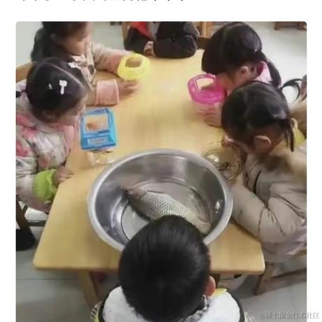 VihoL于2022-11-25 09:15发布的图片