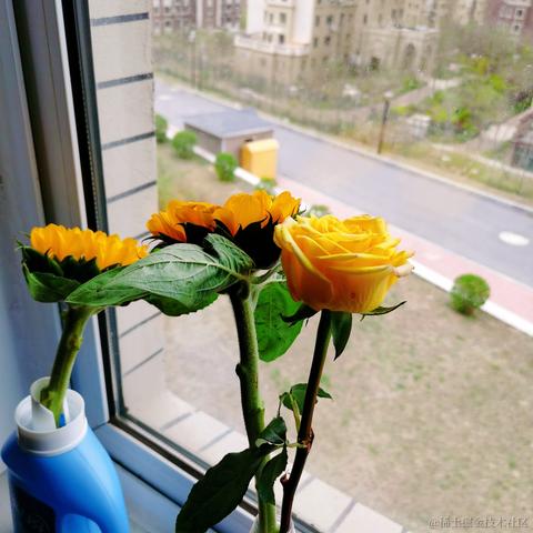 刘笑祎于2023-04-20 21:49发布的图片