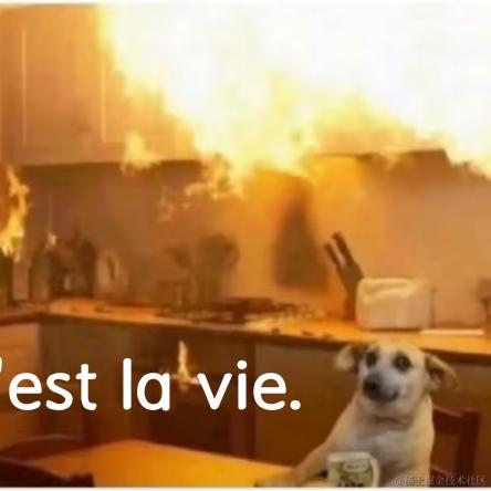 午夜狂鸽于2022-11-25 11:20发布的图片