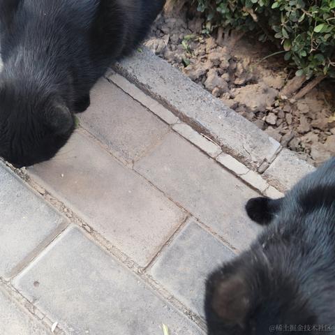 何必诗债换酒钱于2022-11-25 10:31发布的图片