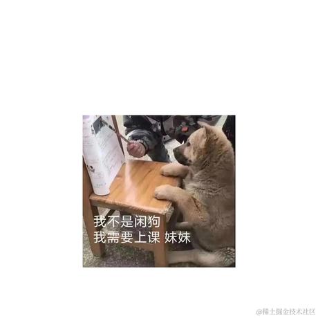 本喵是FW于2023-04-23 08:50发布的图片