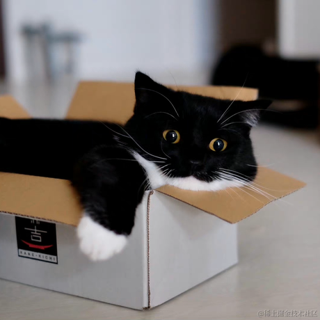 白影于2022-11-18 00:02发布的图片