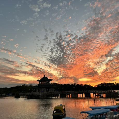 老坛衫菜于2022-12-16 09:26发布的图片