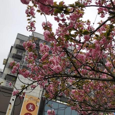 已注销于2022-03-25 20:02发布的图片
