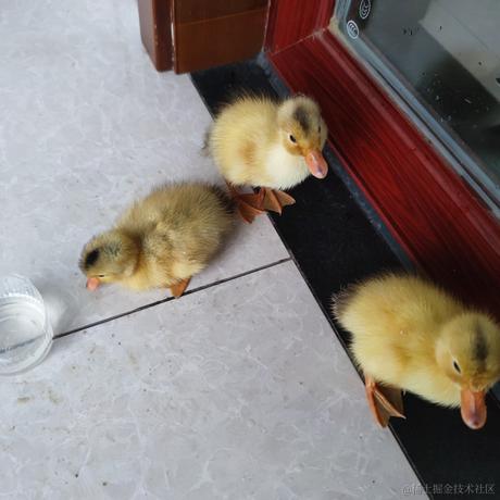 希望_睿智于2024-05-04 17:07发布的图片