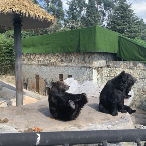 切图_仔于2022-10-05 21:46发布的图片