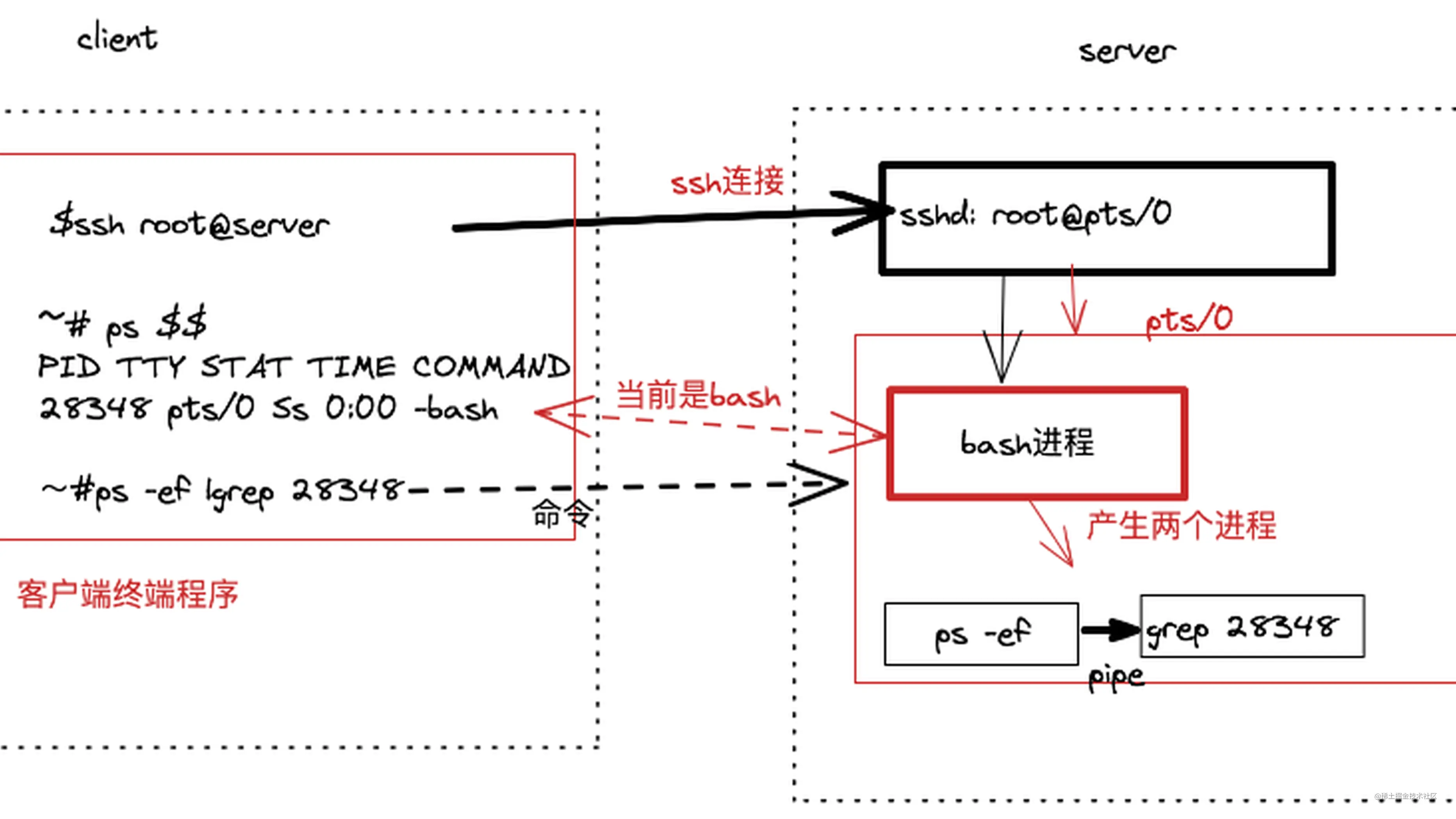 Ssh Shell和终端 一 掘金