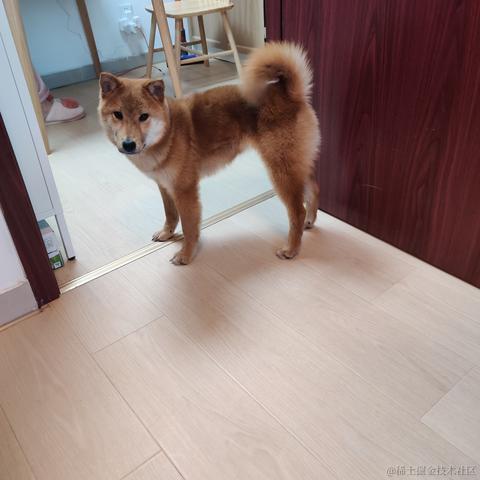 小镇小小侠于2022-03-03 16:20发布的图片