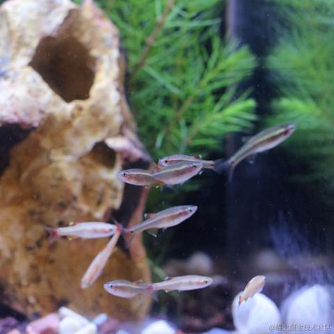 __momo__于2024-03-20 14:57发布的图片