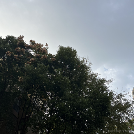 锅里有小琳于2022-11-21 11:27发布的图片